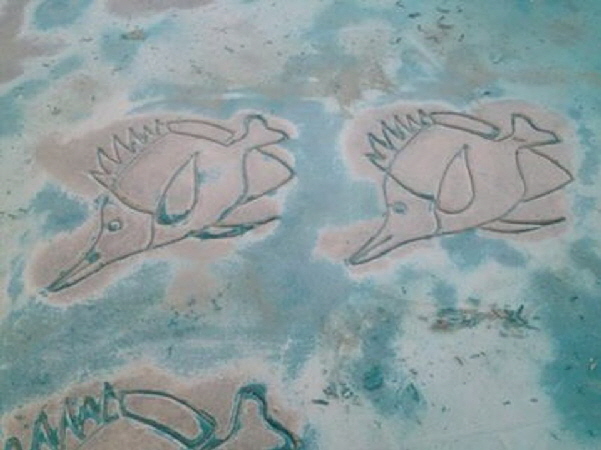 Stamped concrete fish detailed.
